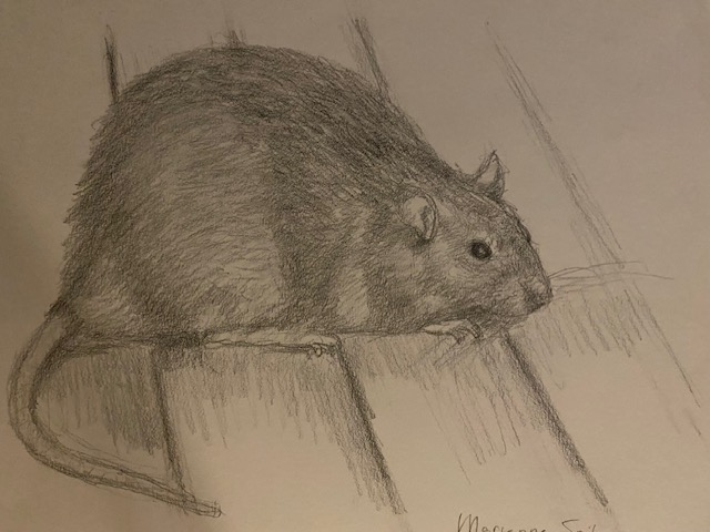 schilderij van Marianne Spitz